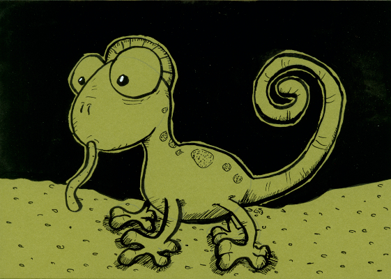 lizard 001