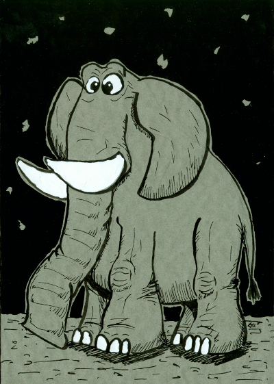 elephant 001